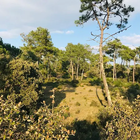 Maison Des Dunes, A 100m De La *